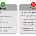 Engineering student tutoring project: Pros and Cons